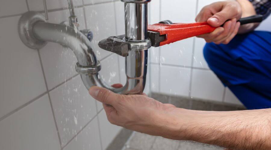 Electronic Leak Detection in Captain Cook, HI